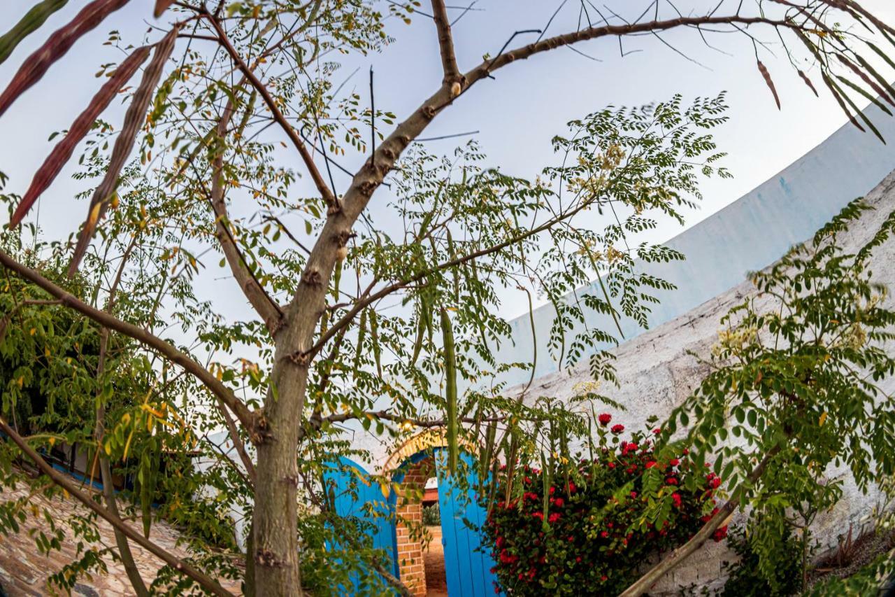 Pousada E Restaurante Tremembe Icapuí Εξωτερικό φωτογραφία